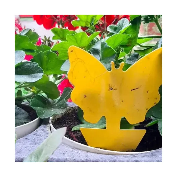 Sárga kétoldalas rovarfogó ragacslap szett 12 db (13×8 cm)