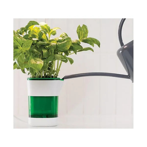 Növénynevelő panel lámpa 6 LED + 4 UV, önöntöző USB cserép 37 cm, 5 W