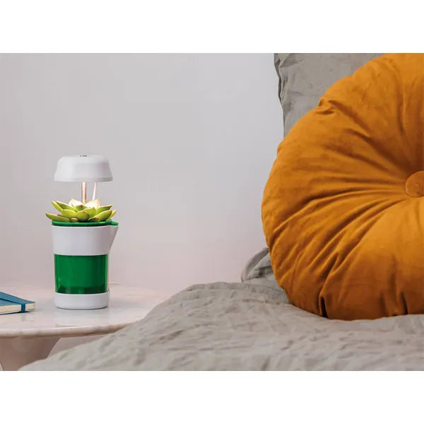 Növénynevelő panel lámpa 6 LED + 4 UV, önöntöző USB cserép 37 cm, 5 W