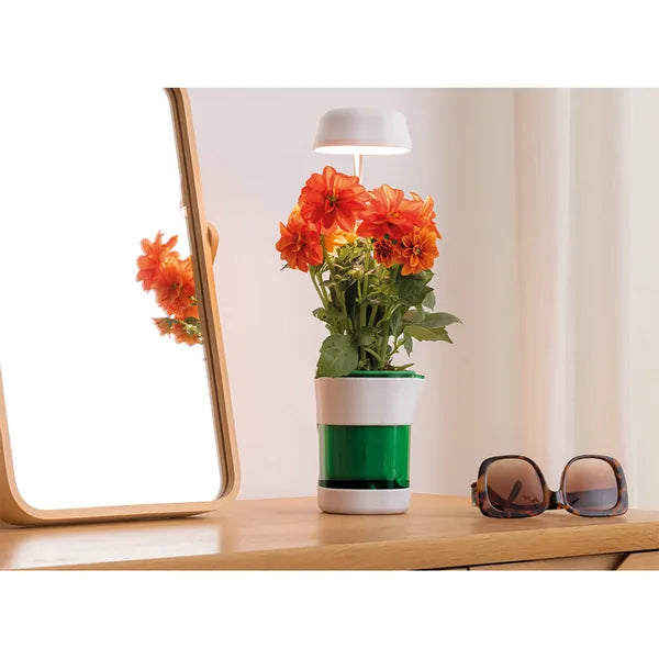 Növénynevelő panel lámpa 6 LED + 4 UV, önöntöző USB cserép 37 cm, 5 W