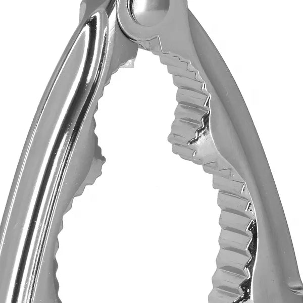 Diótörő, rozsdamentes acél, zöld műanyag markolat, 15 cm
