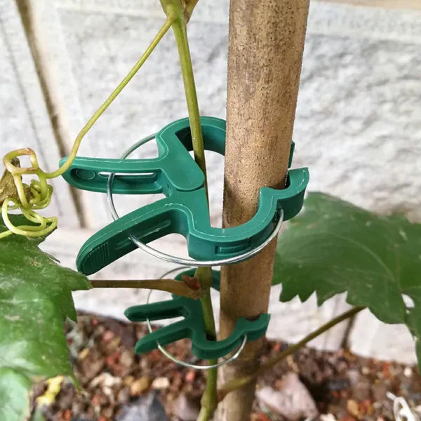 Növényklipsz készlet 12 db, zöld, 4,5×6 cm – gyors támaszték rögzítés