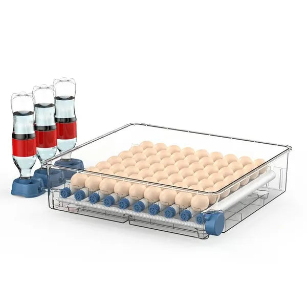 Automata keltetőgép 64 tojásra, LED kijelző, tojásforgatás, 12/230 V