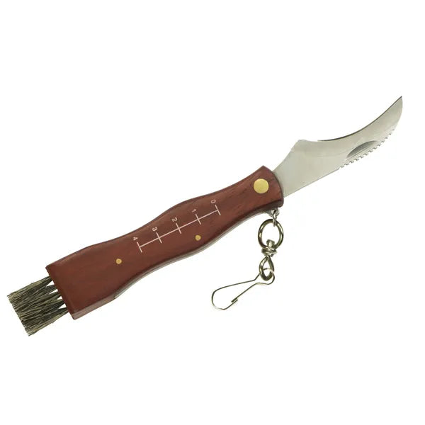 Összecsukható gombaszedő bicska ecsettel, fa markolattal, 21 cm