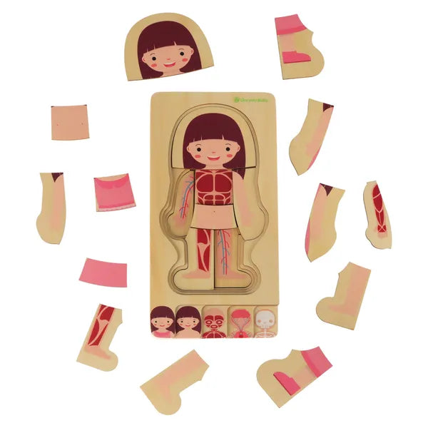 Fa réteges Montessori anatómia puzzle lányoknak, 28 db, 29×24,5 cm