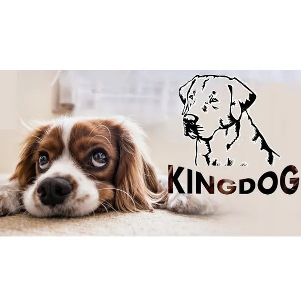 KingDog vízálló kutya- és macskaágy, kék-fekete, 130×105 cm