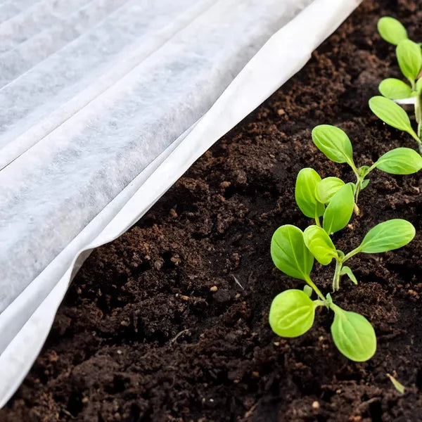 Fehér agrotextil takarófólia 70 g/m² 3,2×50 m UV-védelemmel