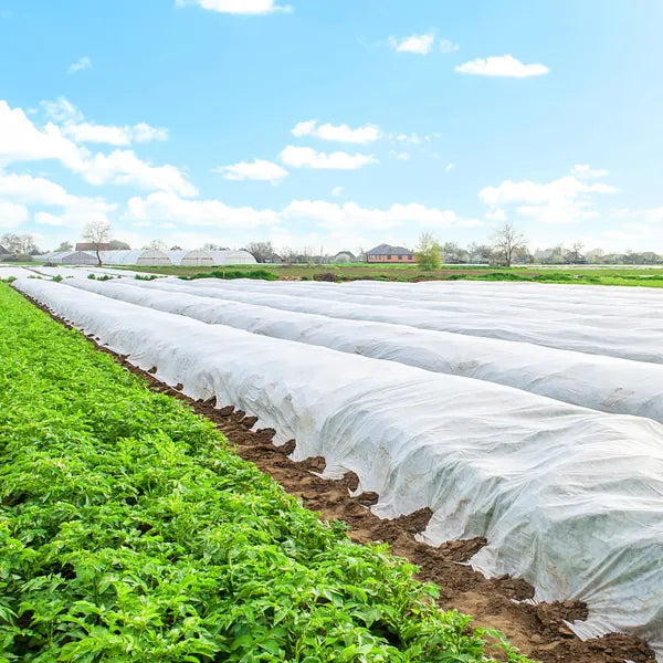 Fehér agrotextil takarófólia 70 g/m² 3,2×50 m UV-védelemmel