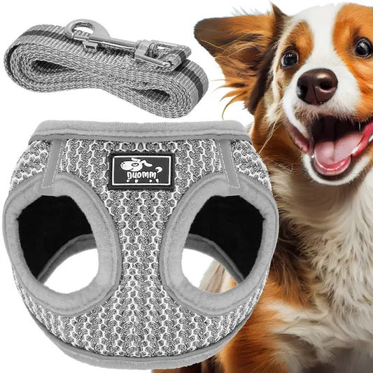Springos kutyahám 150 cm pórázzal, fényvisszaverő, M, 9-13 kg, szürke/fekete