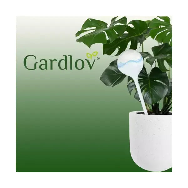 Öntözőgolyók 8 db, 280 ml, átlátszó PVC, szobanövényekhez