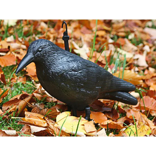 Élethű varjú madárriasztó műanyag figura, 40 cm, akasztható