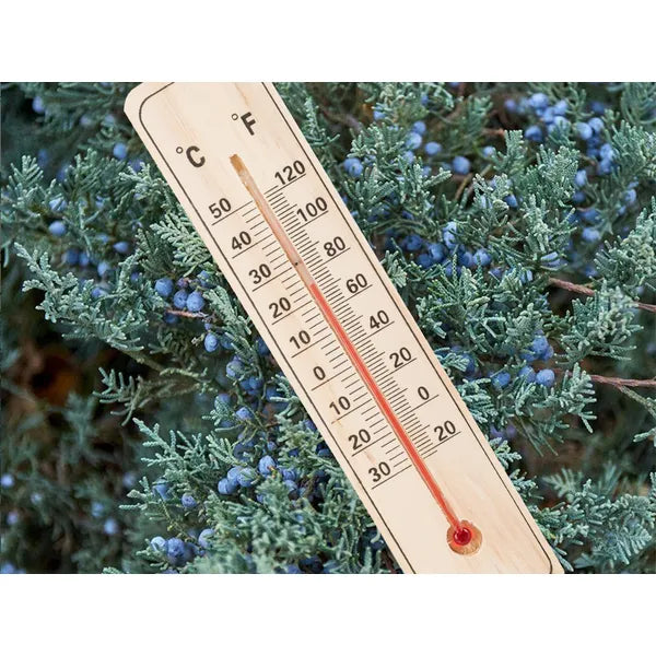 Fa falra szerelhető hőmérő, beltéri-kültéri, -30–+50 °C, 22 cm