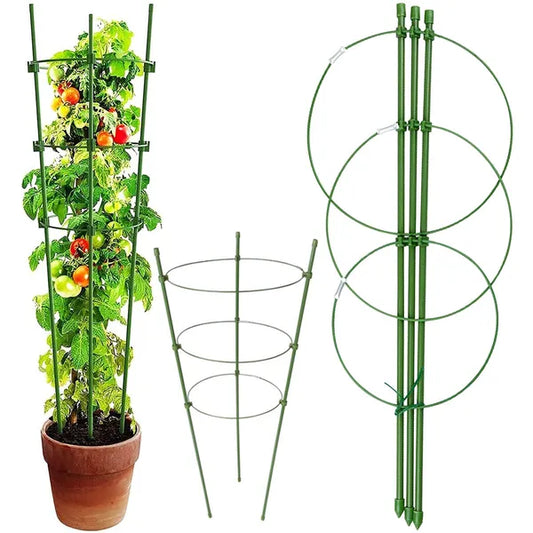 Kör alakú növénytámasz 60 cm, 3 fém gyűrűvel, zöld