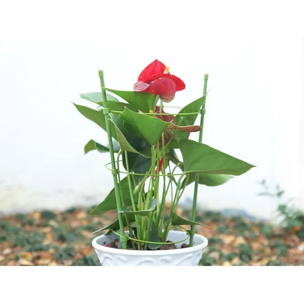 Kör alakú növénytámasz 60 cm, 3 fém gyűrűvel, zöld