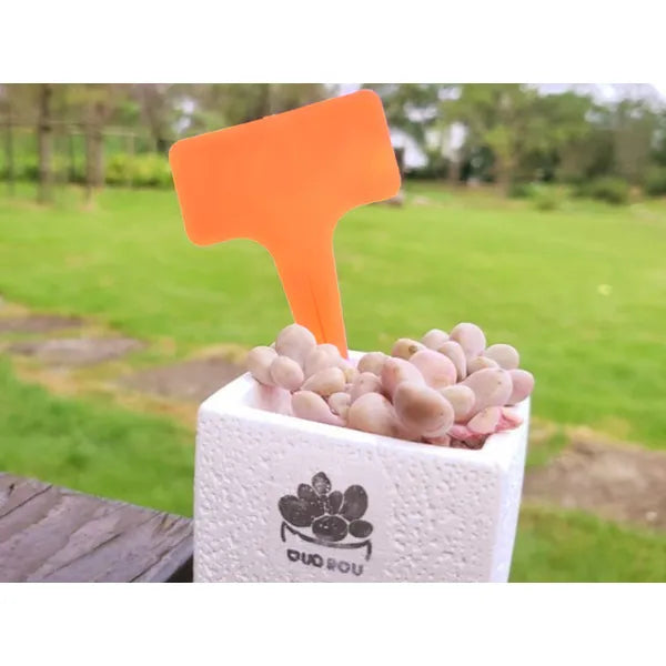Színes műanyag növényjelölő címkék, 50 db, 10×6 cm