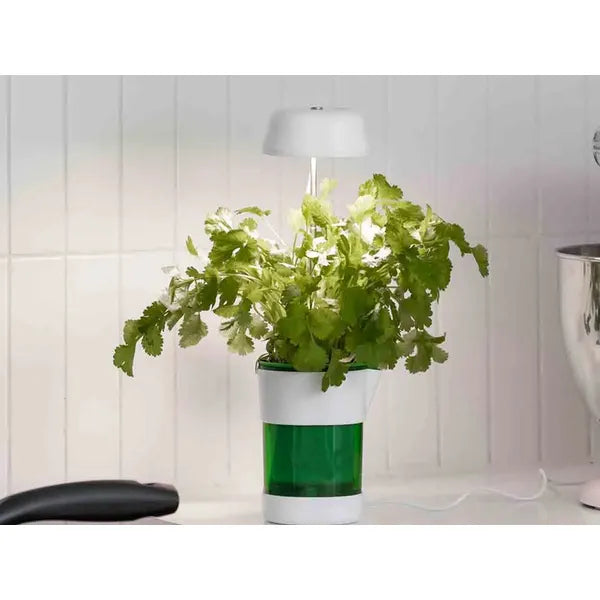 Növénynevelő panel lámpa 6 LED + 4 UV, önöntöző USB cserép 37 cm, 5 W