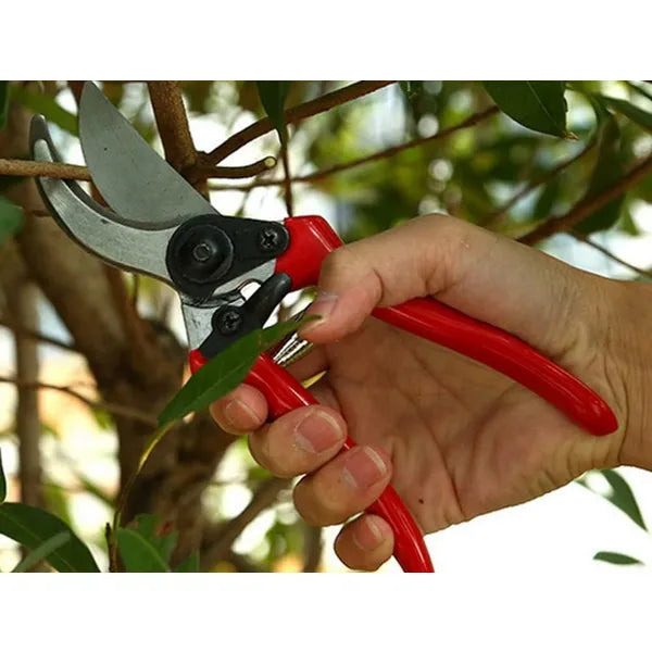 Kovácsolt acél kézi metszőolló 20 cm, ergonomikus nyéllel és biztonsági zárral