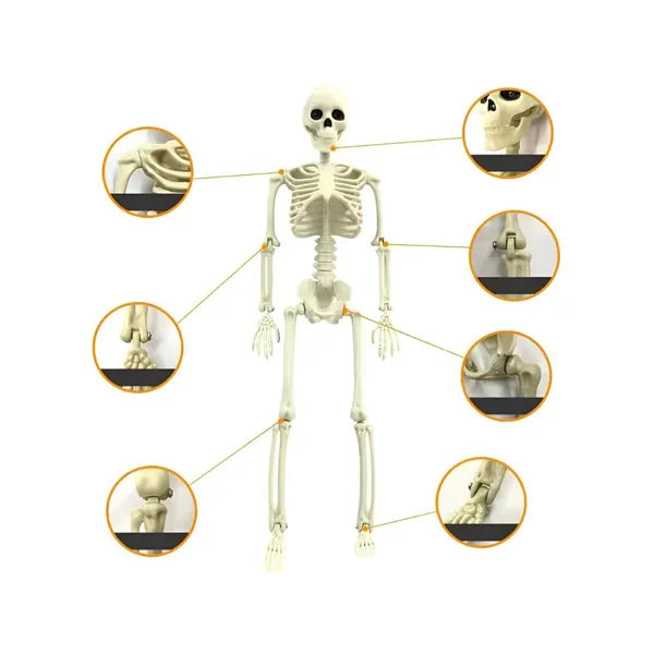 40 cm-es függeszthető műanyag csontváz dekoráció Halloweenhez