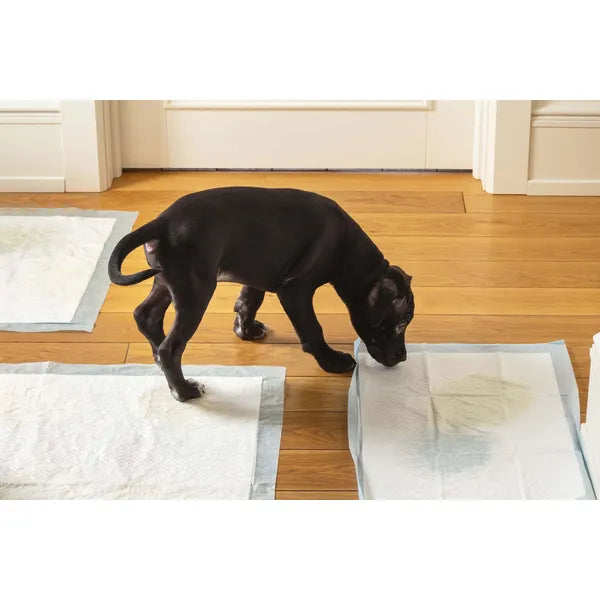 Springos higiéniai alátét, 40×60 cm, 50 db, extra nedvszívó