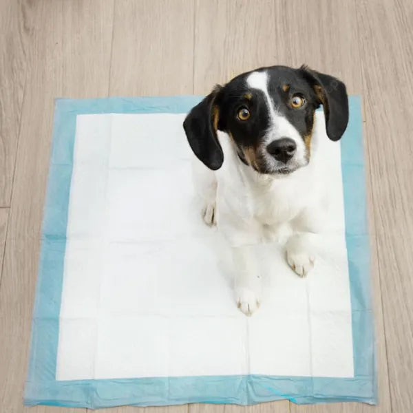 Springos higiéniai alátét, 40×60 cm, 50 db, extra nedvszívó