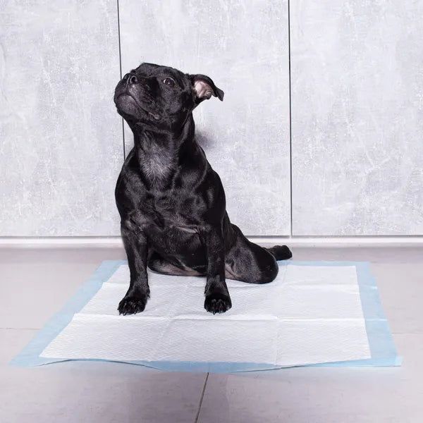 Higiénikus alátét 40×60 cm – 100 db, többrétegű, szagsemleges, vízálló