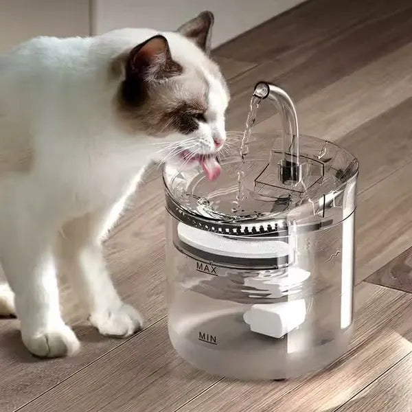 Automata itató háziállatoknak, 2 l, USB 5V, szűrős, csendes, áttetsző