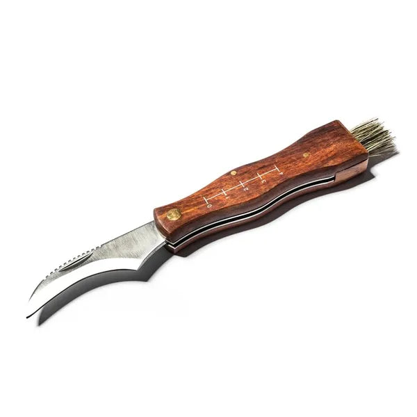 Összecsukható gombaszedő bicska ecsettel, fa markolattal, 21 cm