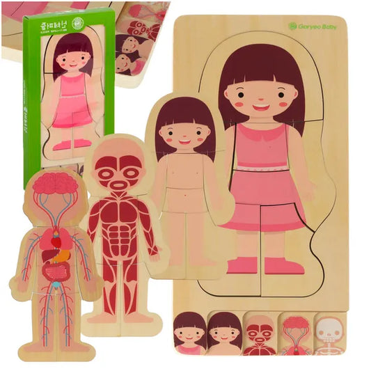 Fa réteges Montessori anatómia puzzle lányoknak, 28 db, 29×24,5 cm