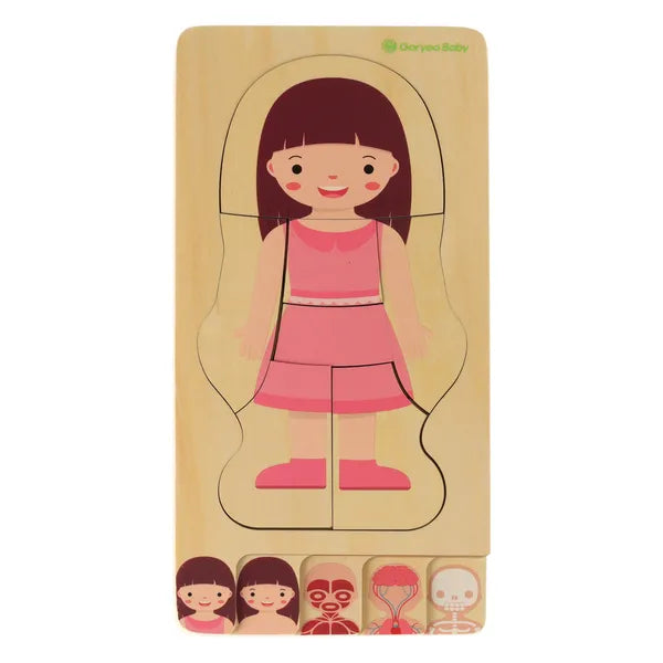 Fa réteges Montessori anatómia puzzle lányoknak, 28 db, 29×24,5 cm