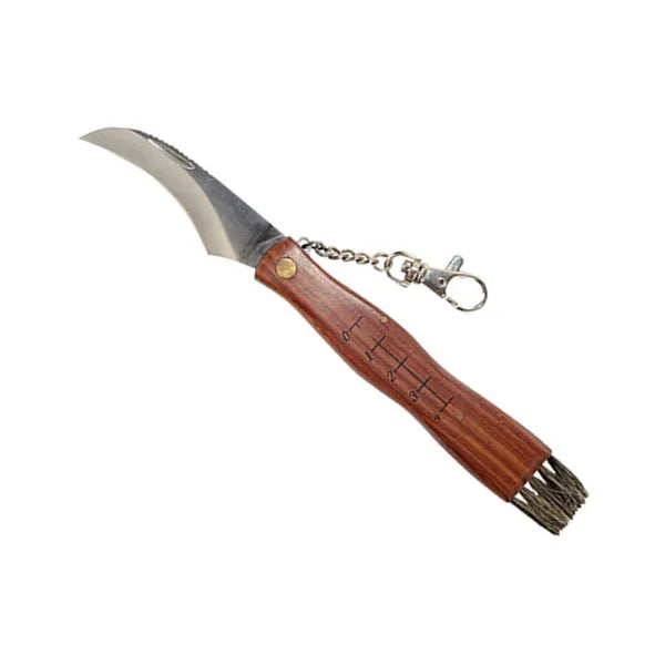 Gombaszedő kés ecsettel, 4 cm skálával, 21 cm, acél penge, fa nyél