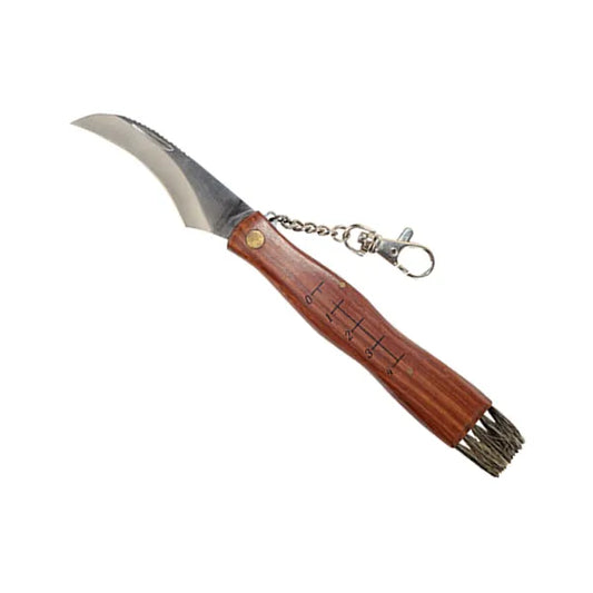Gombaszedő kés ecsettel, 4 cm skálával, 21 cm, acél penge, fa nyél
