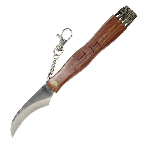 Gombaszedő kés ecsettel, 4 cm skálával, 21 cm, acél penge, fa nyél
