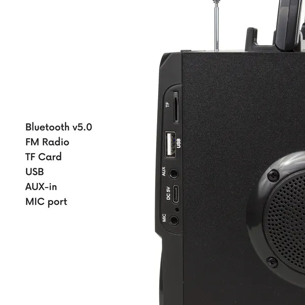 Hordozható bluetooth hangszóró 11 W, FM rádió, USB/SD, 2000 mAh, AC730