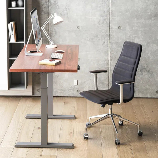 Ergo Office ER-433 elektromos asztalváz 73-123 cm, 80 kg, szürke, lap nélkül