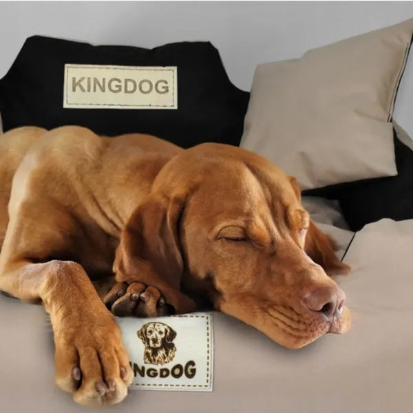 Kingdog kutyafekhely 130x105 zöld-fekete párnákkal